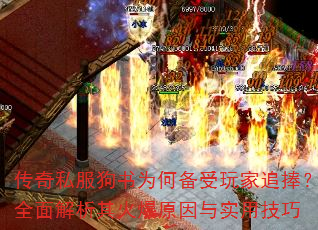 传奇私服狗书为何备受玩家追捧？全面解析其火爆原因与实用技巧  第3张