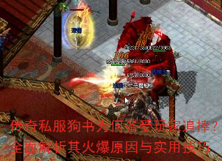 传奇私服狗书为何备受玩家追捧？全面解析其火爆原因与实用技巧  第4张