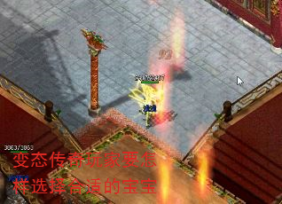 变态传奇玩家要怎样选择合适的宝宝  第4张