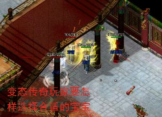 变态传奇玩家要怎样选择合适的宝宝  第5张