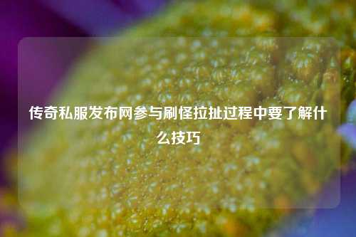 传奇私服发布网参与刷怪拉扯过程中要了解什么技巧  第1张