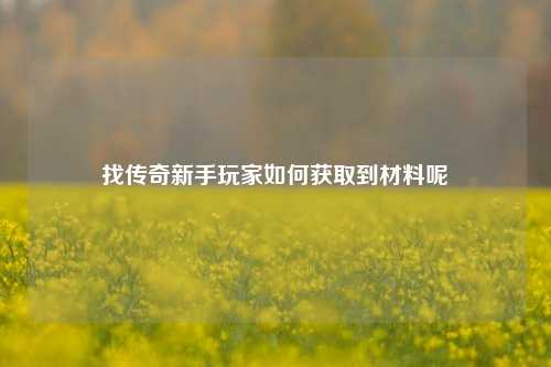 找传奇新手玩家如何获取到材料呢  第1张