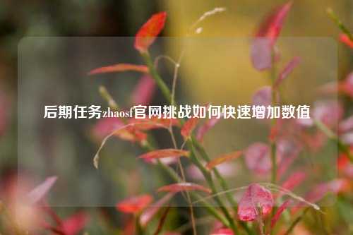 后期任务zhaosf官网挑战如何快速增加数值  第1张